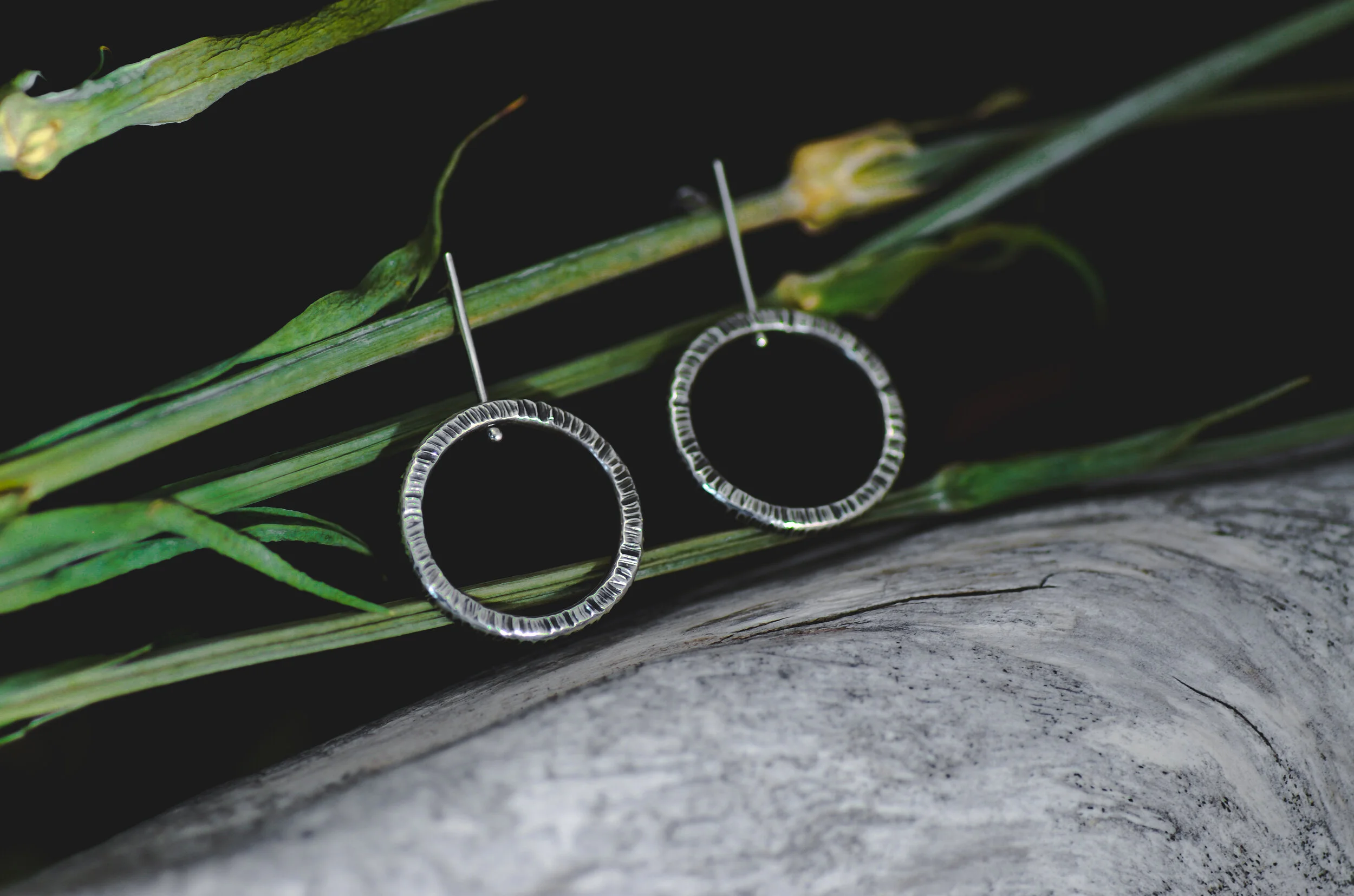 A pair of circular silver earrings hanging from a thin branch with green leaves, resting on a piece of weathered wood.
