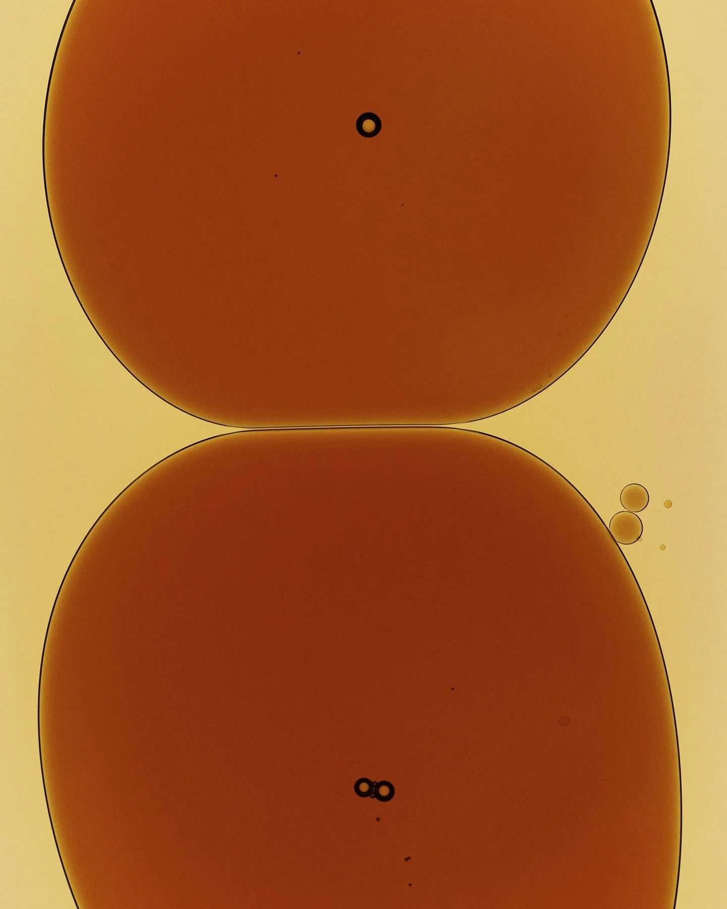 YUHSING LIN  Sesame Oil_02_Web_45.jpg