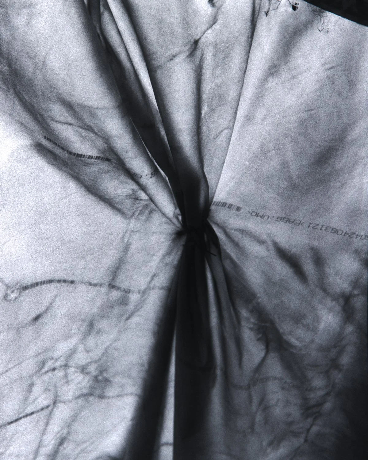 Roll_191_0019.jpg