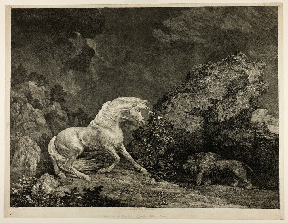 A Horse Frightened By A Lion