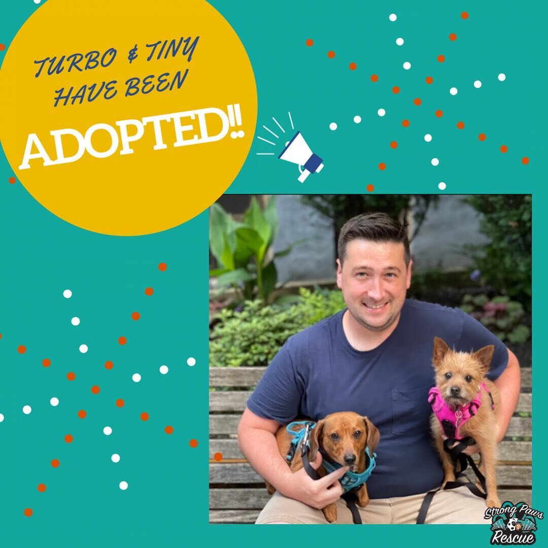 We are happy to share that our bonded pair, Turbo &amp; Tiny have been adopted! 

Thank you to everyone who shared their story! Rescue takes a community. Thanks to Lisa of @dachshundsofnyc , we were not only able to locate Andrea who was an incredibl