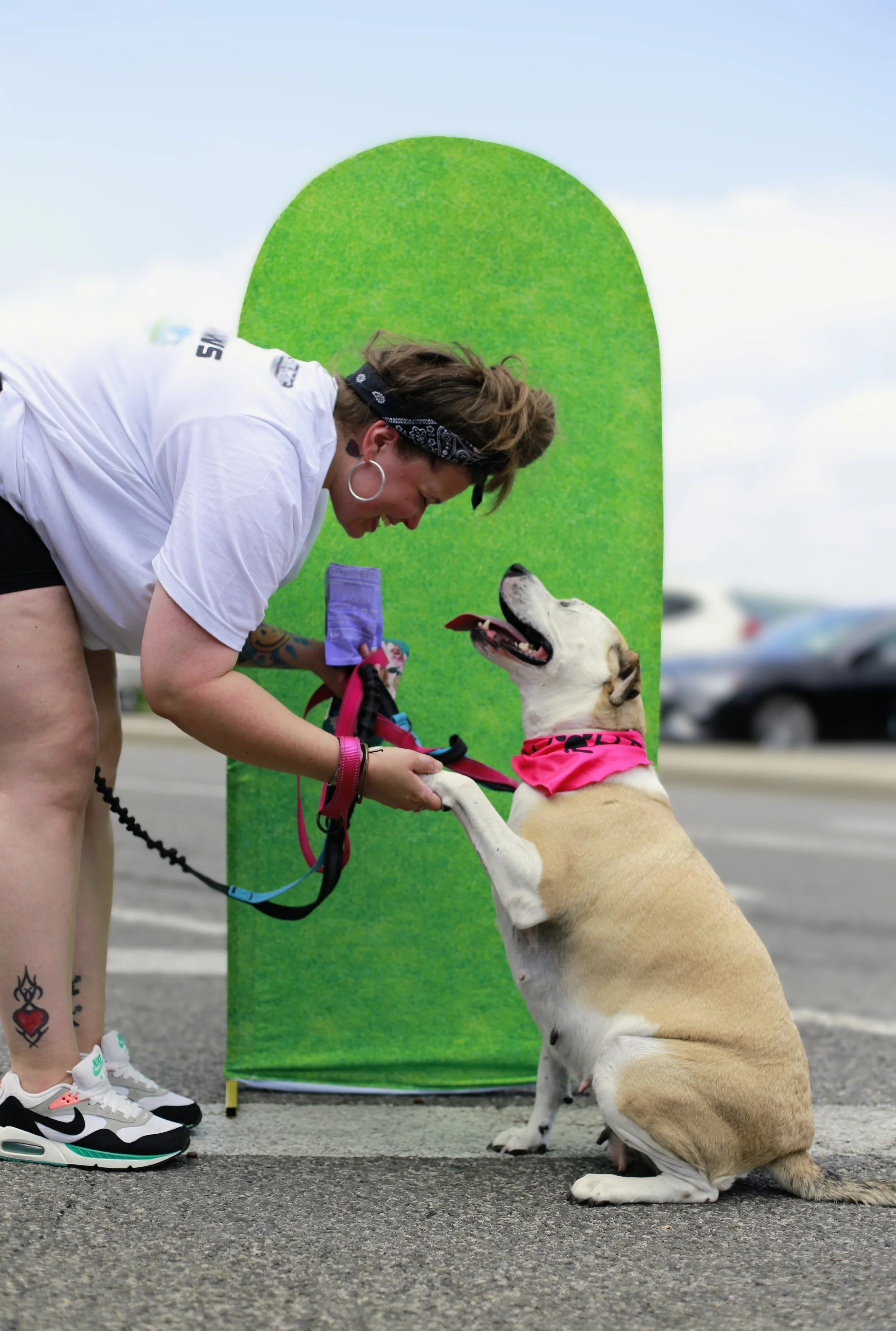 Strong Paws Rescue, Inc.