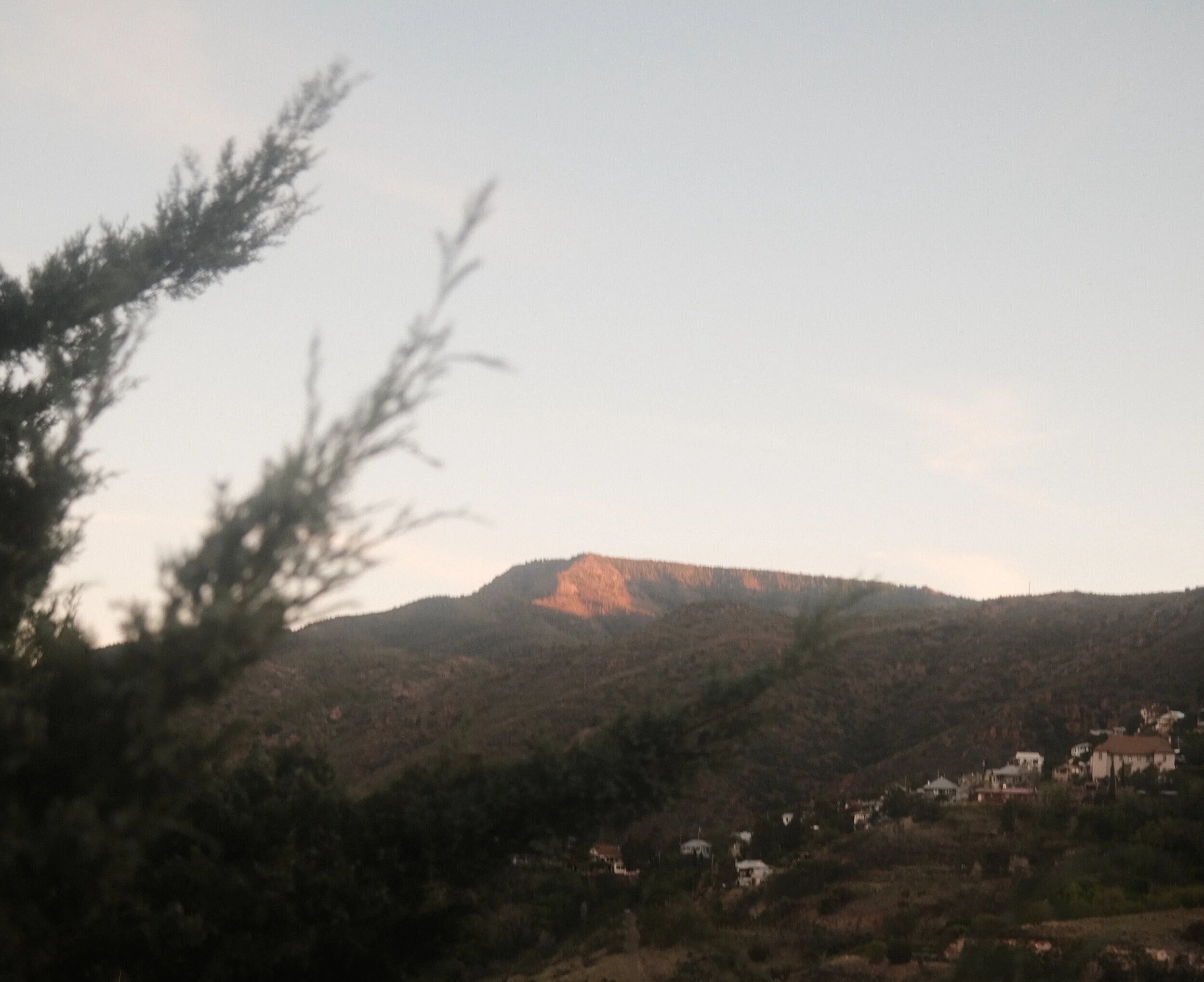 Rodéo