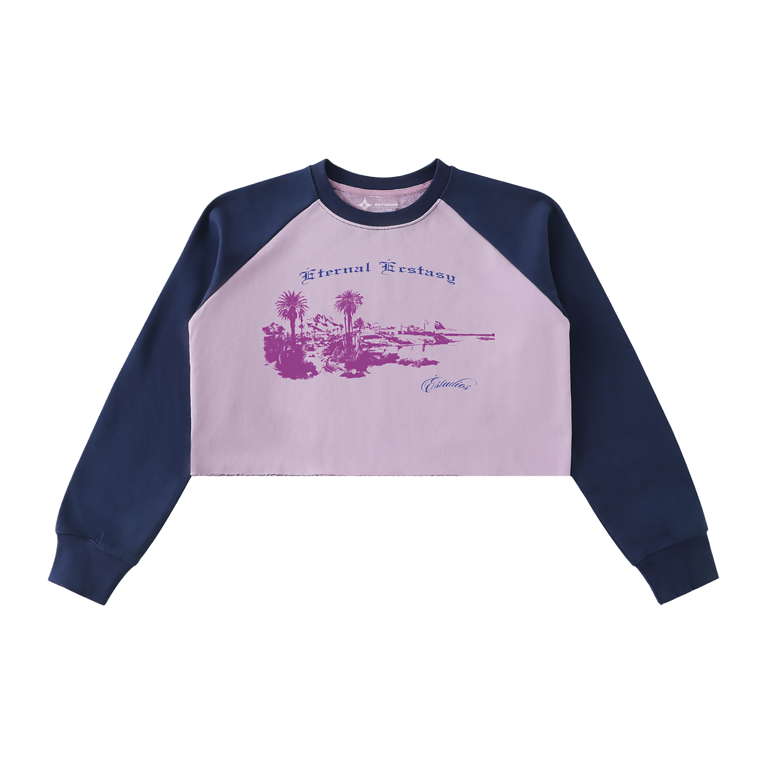 purple long sleeve_.png