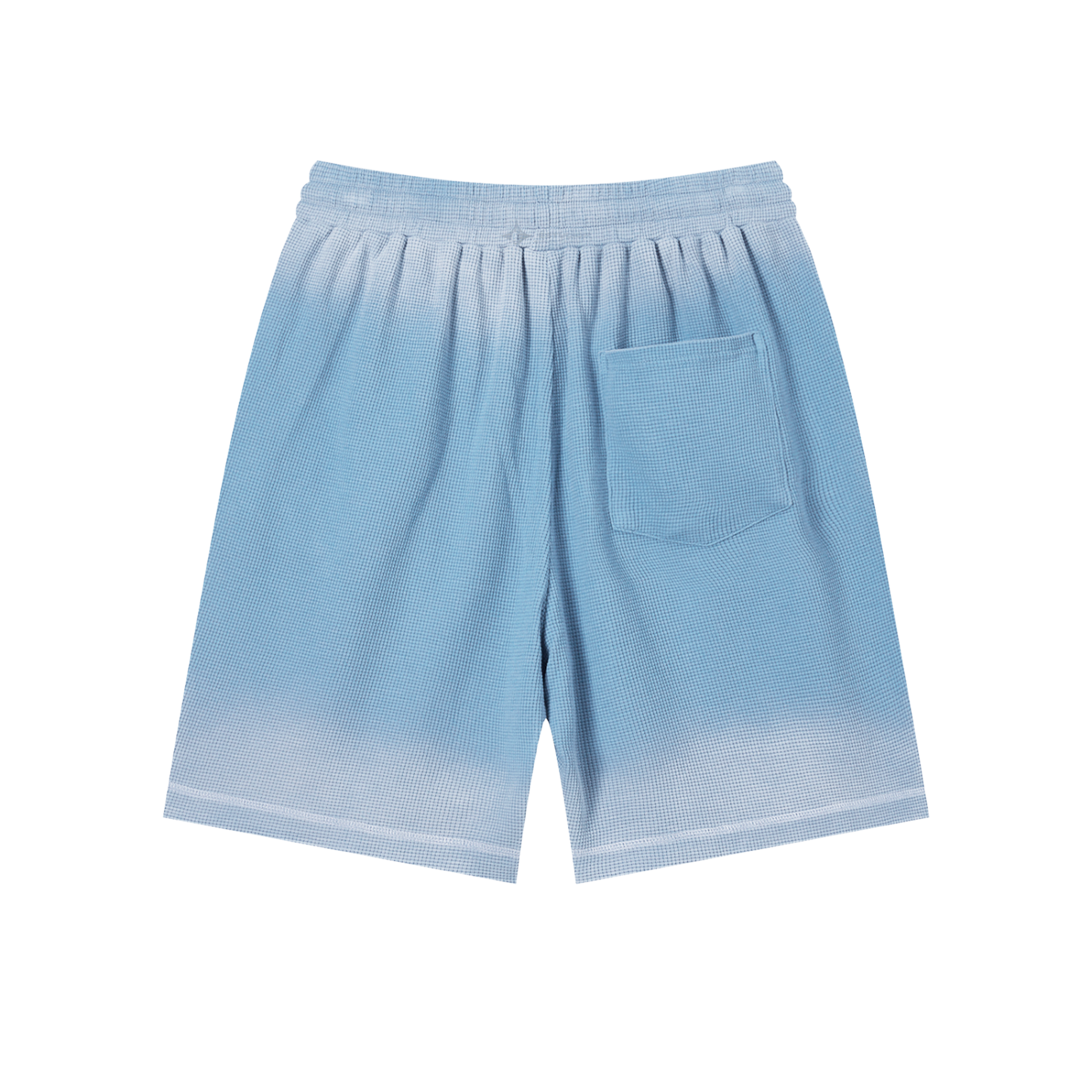 shorts back_.png