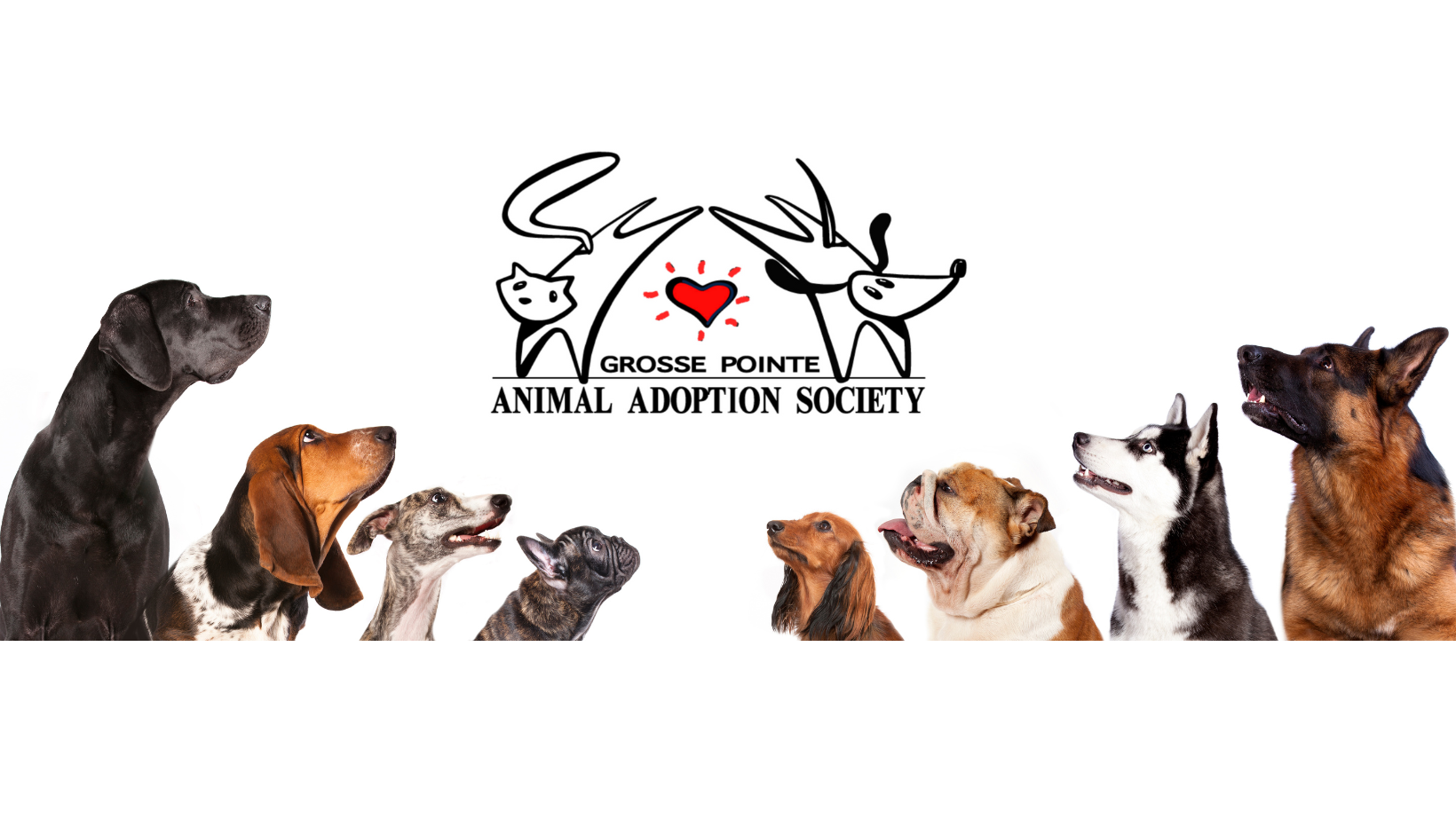 Grosse Pointe Animal Adoption Society