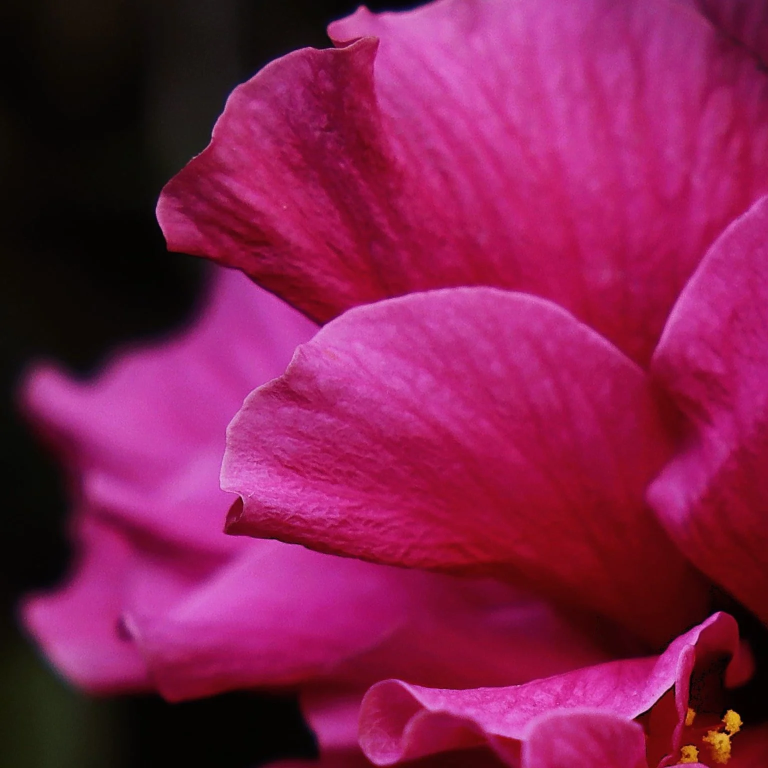 just keep me where the light is-min (1).JPG