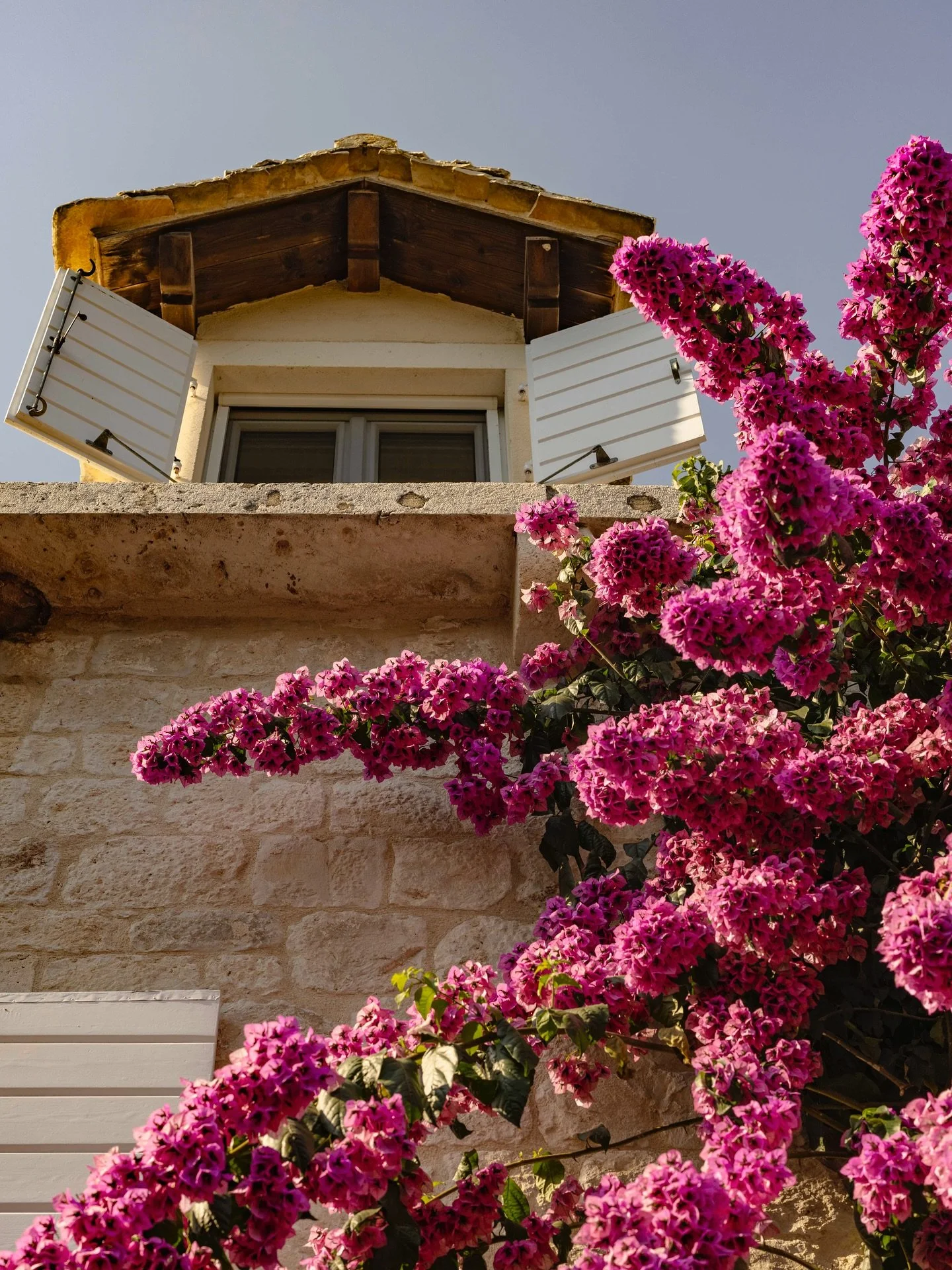 Snapping beauty in every direction while working in this magnificent garden @hotellemongarden