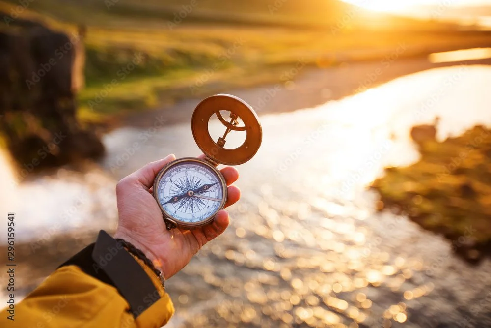 BOWWBLOG #51: When the Cats Fight and the Fish Disappear: Finding Our Compass in Chaos