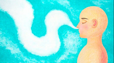 WOWWBLOG #55: The Scalpel and the Stillness: What Three Days of Silence Taught Me About Freedom