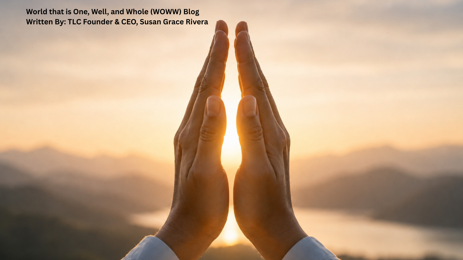WOWWBLOG #59: The Inner Compass and the Superpower Within: What Mindful Leadership Taught Me About Navigating Complexity