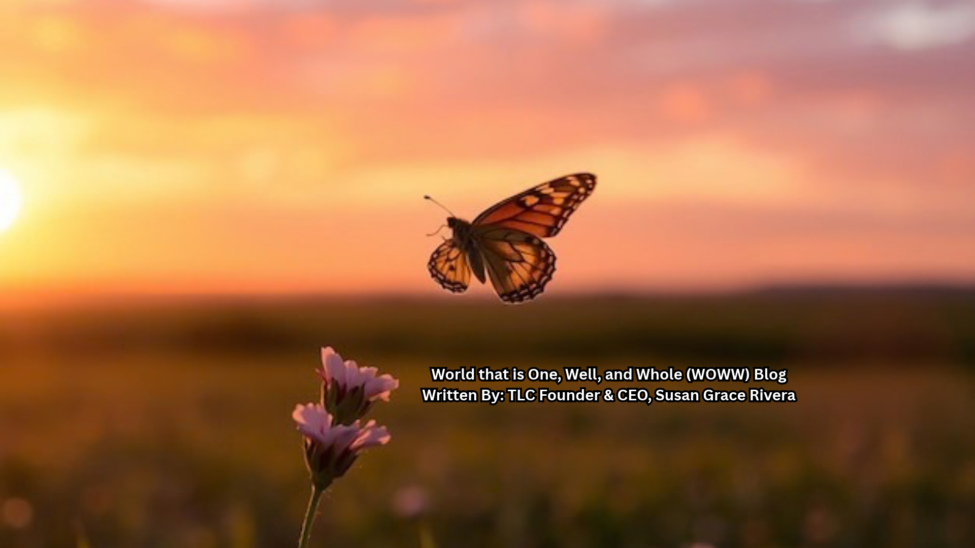 WOWWBLOG #71: Deaths and Births in the Same Week: Holding Grief and Gratitude Together