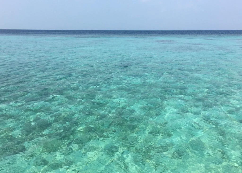 How to create an Eco Conscious Skincare Routine &amp; Lifestyle