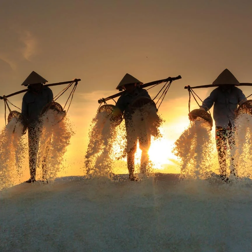 How Do You Know if Your Consuming Too Much Salt For Optimum Skin Health?