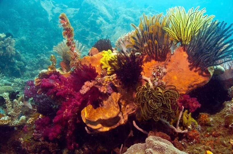 Does Natural Sunscreen Really Work?