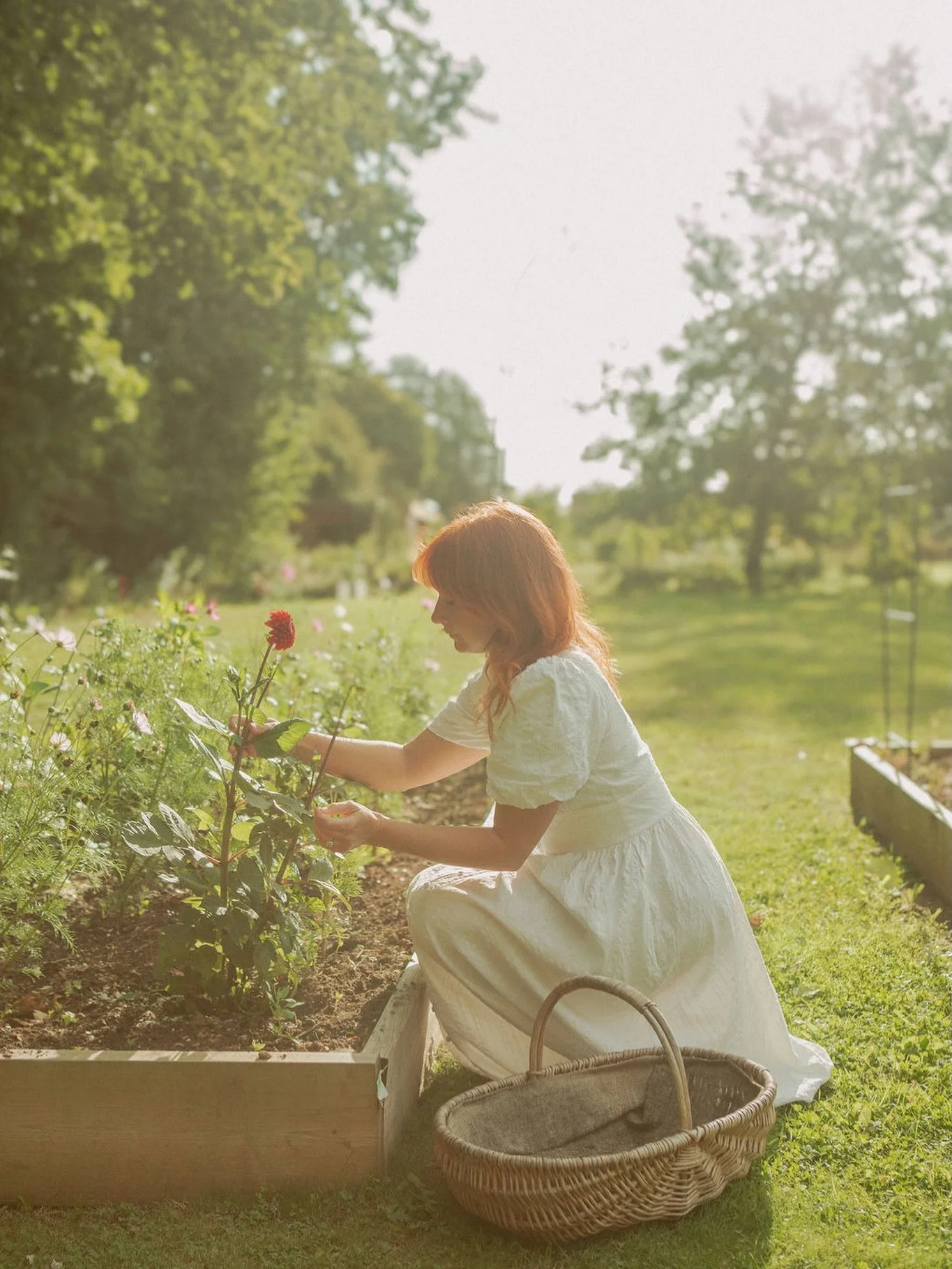 Hi my name is Alice &amp; I am the founder &amp; formulator of Kyushi skincare.
It&rsquo;s been a little busier on here so I wanted to reintroduce myself &amp; tell the kyushi story. 

Kyushi was first created in a hotel room whilst I worked as a hai