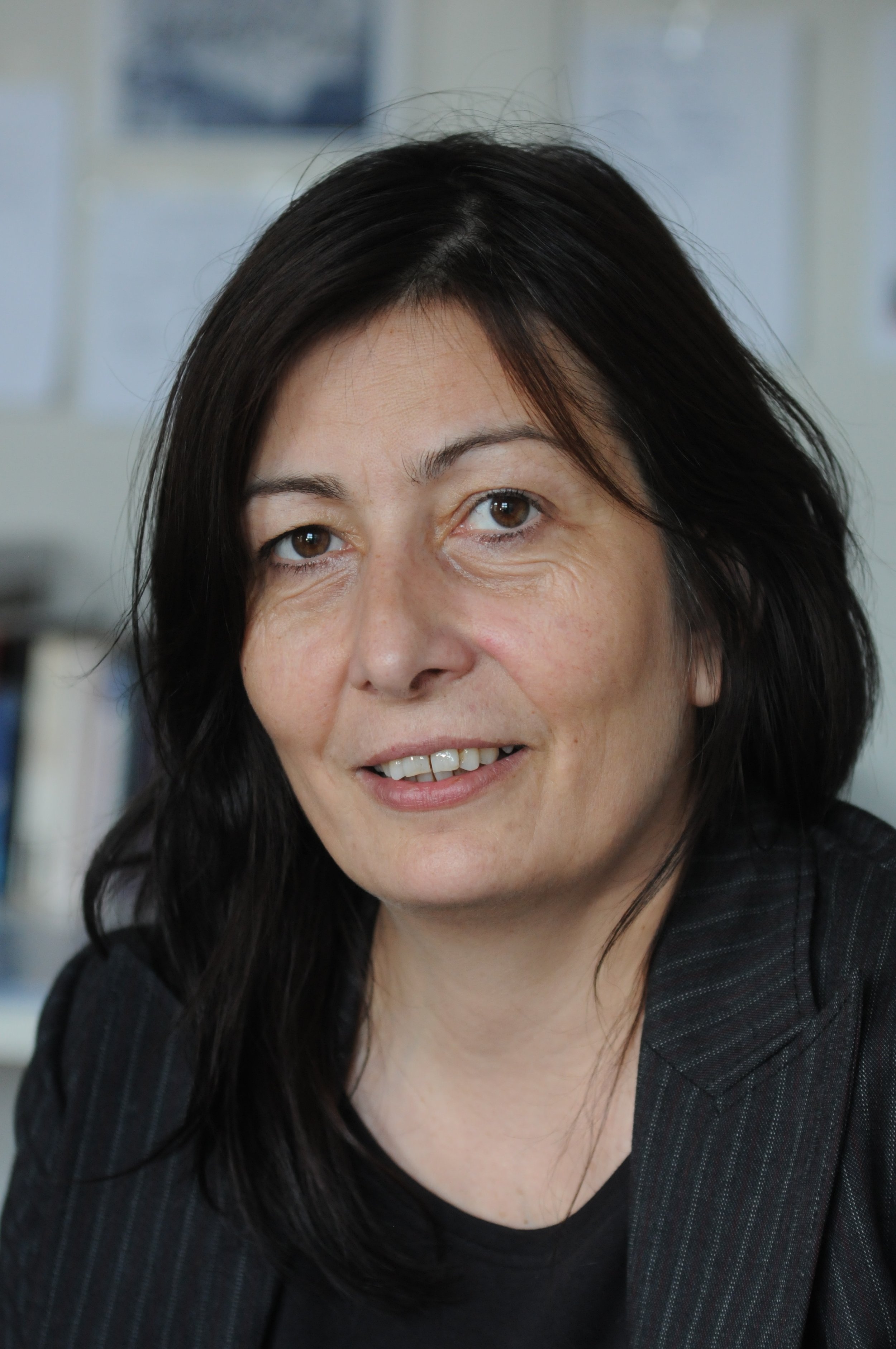 Ingrid Wildi Merino