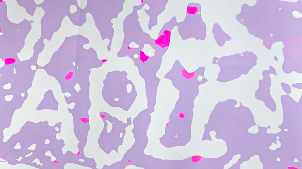 Workshop: Introduction to Screen printing hosted by Kamil Kak