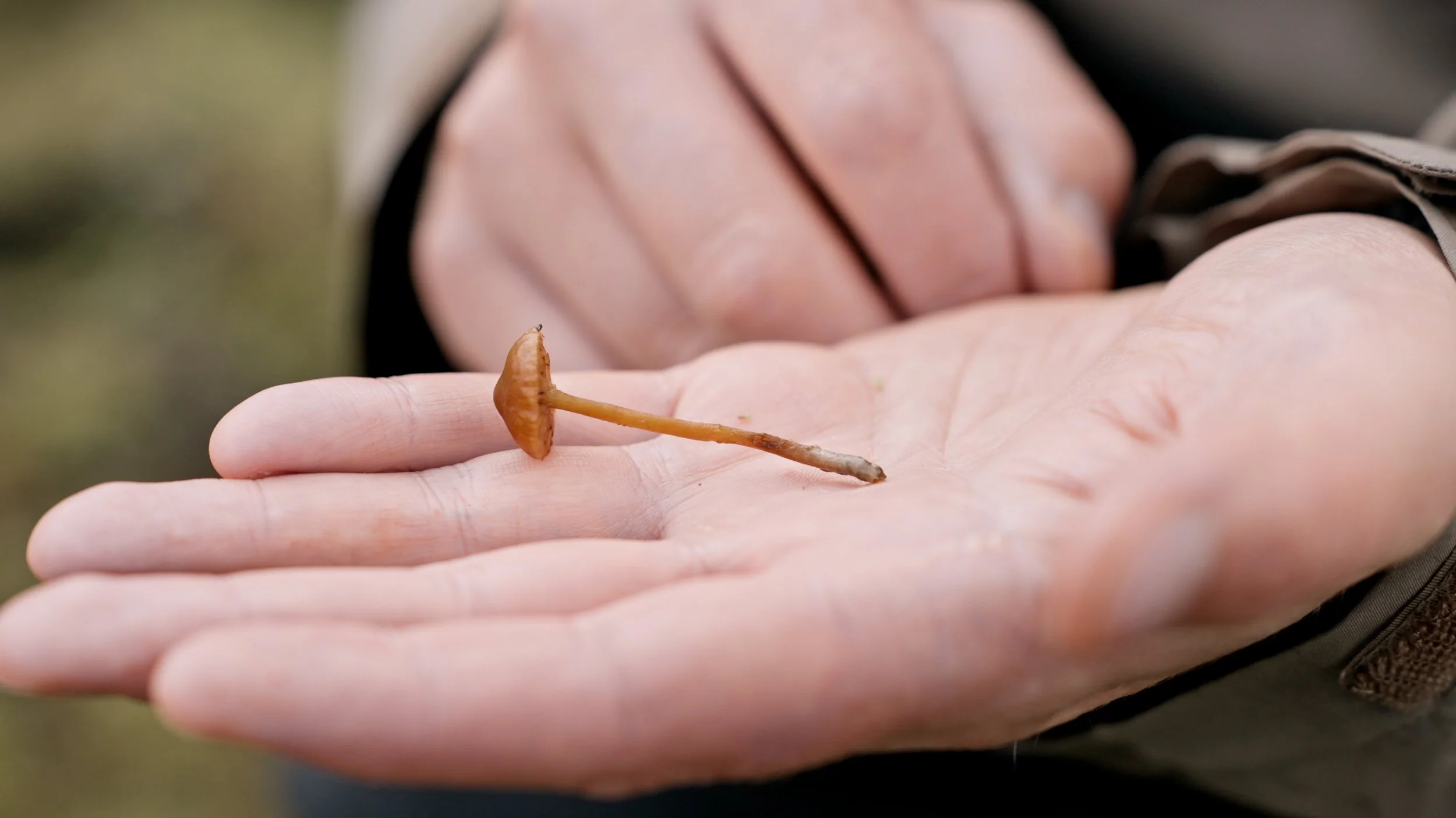 New film with Simon Daniel Tegander Wenzel: Exploring scent, memory and place