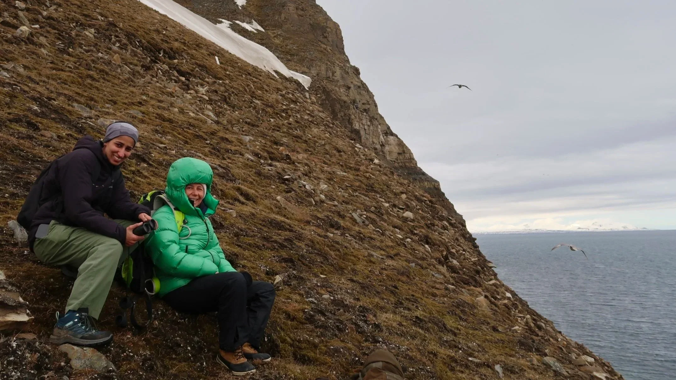 Residents visit Bjørndalen to observe Svalbard Reindeer