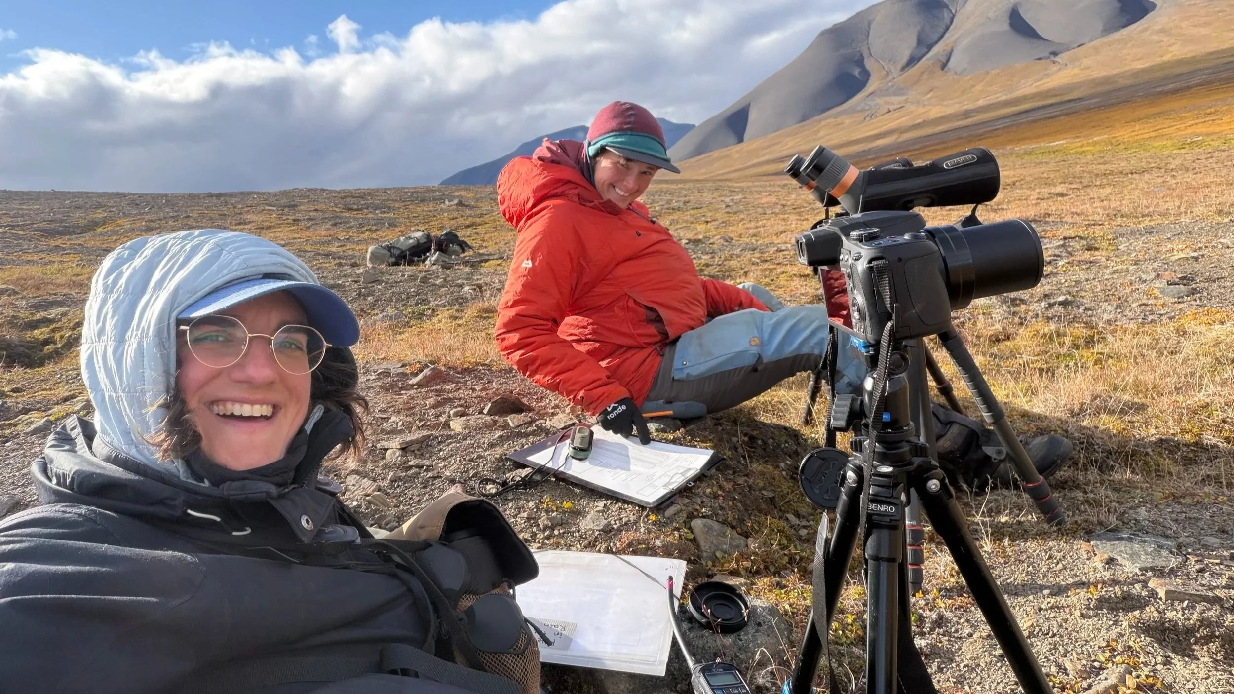 New Field Notes: Kathy Sirico — How to Get Lost in the Tundra