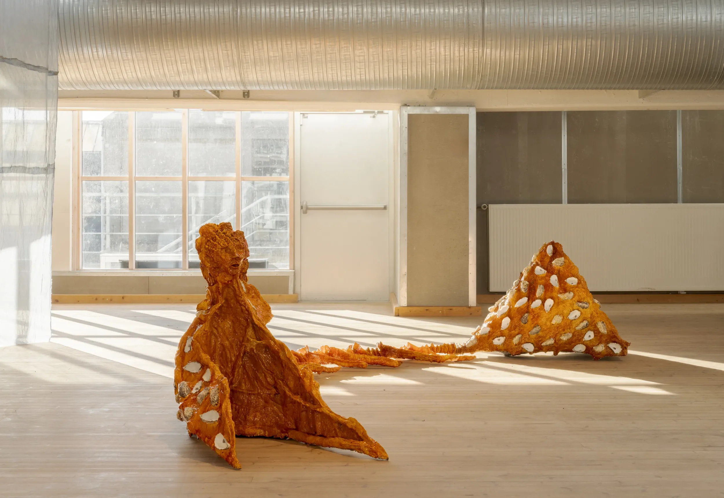 NAARCA Residencies 2026 Announcement