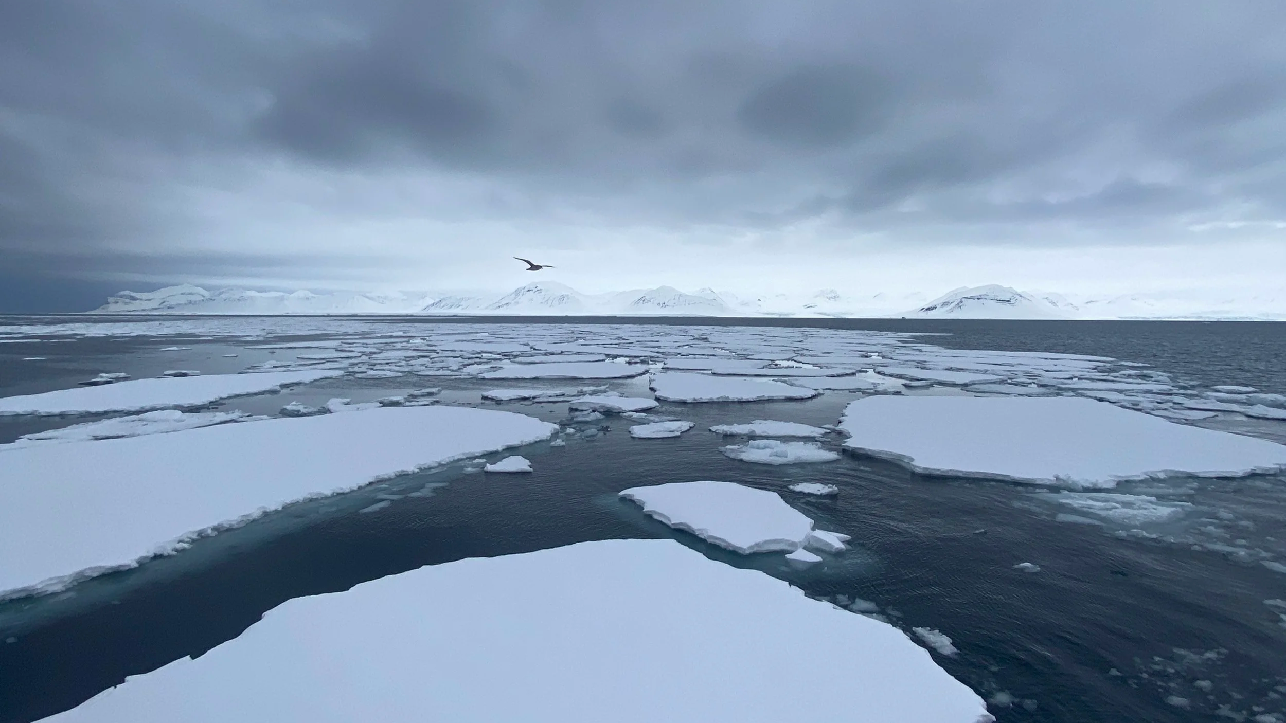 An Abyss of Uncertainty