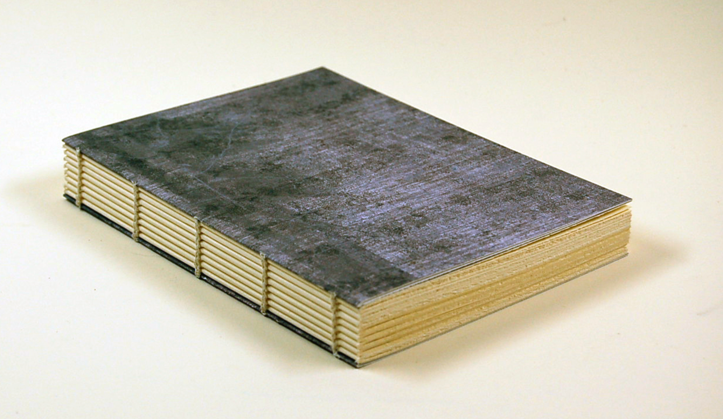 Exposed Spine Bookbinding Workshop with Elize de Beer