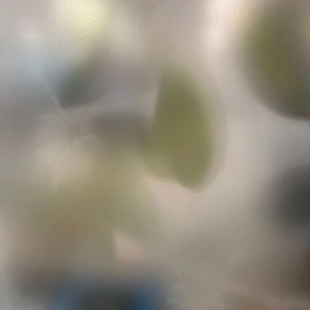 Isn't this a fabulous way to create privacy and interest around a glass meeting room? This 'frosted plant' manifestation is from our @luminalearning office project, completed late 2025 - our most colourful scheme yet.

#DesignChat #InteriorDesignHumo