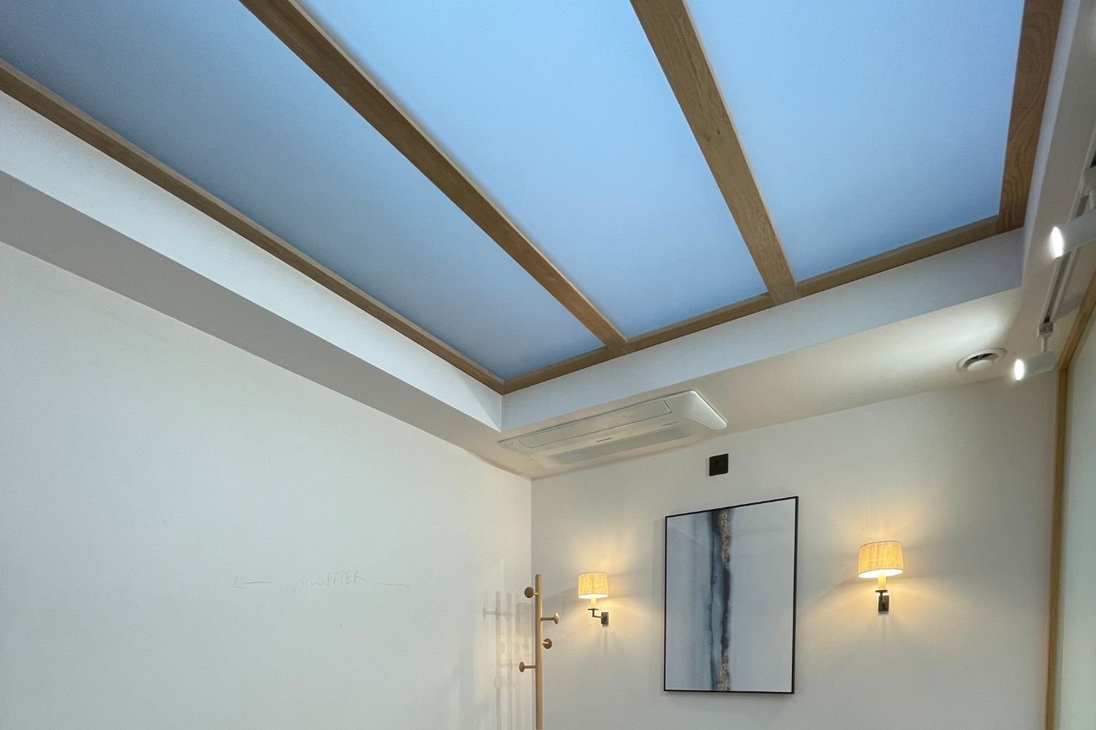 The London Hair Clinic KVIST Interior Design Rooflight.jpg