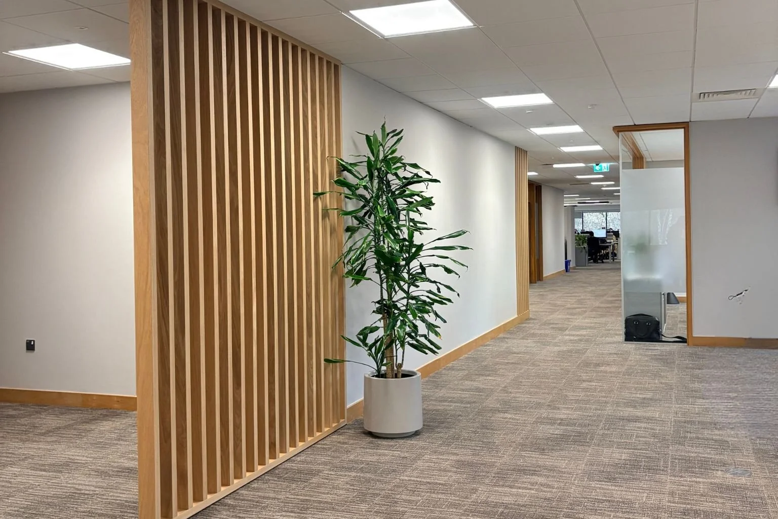 KVIST Ageas Insurance Office Refurb oak screen.jpg