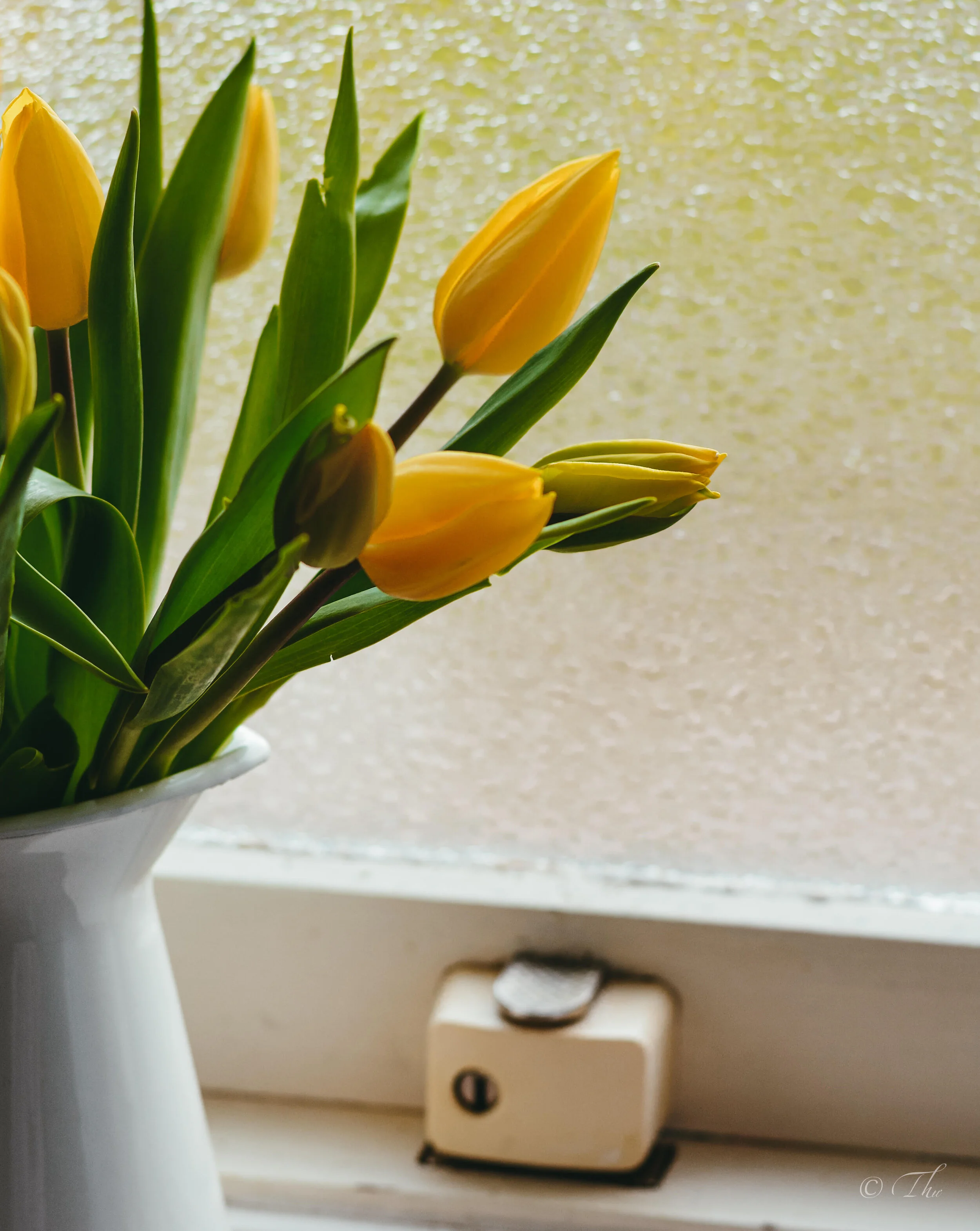 Post tâm sự ❤︎