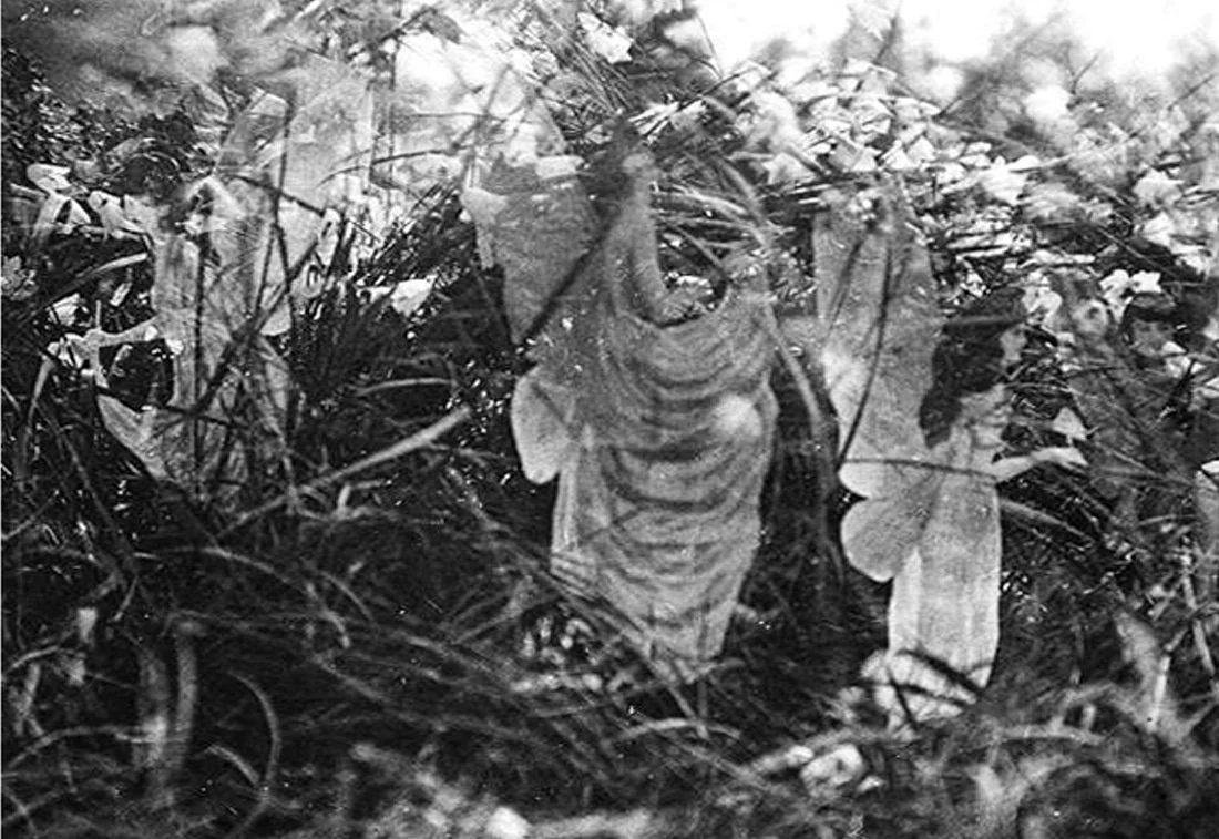 ‘Zero point', hiểu bản thân và phần cuối là về các cô tiên cây 🧚