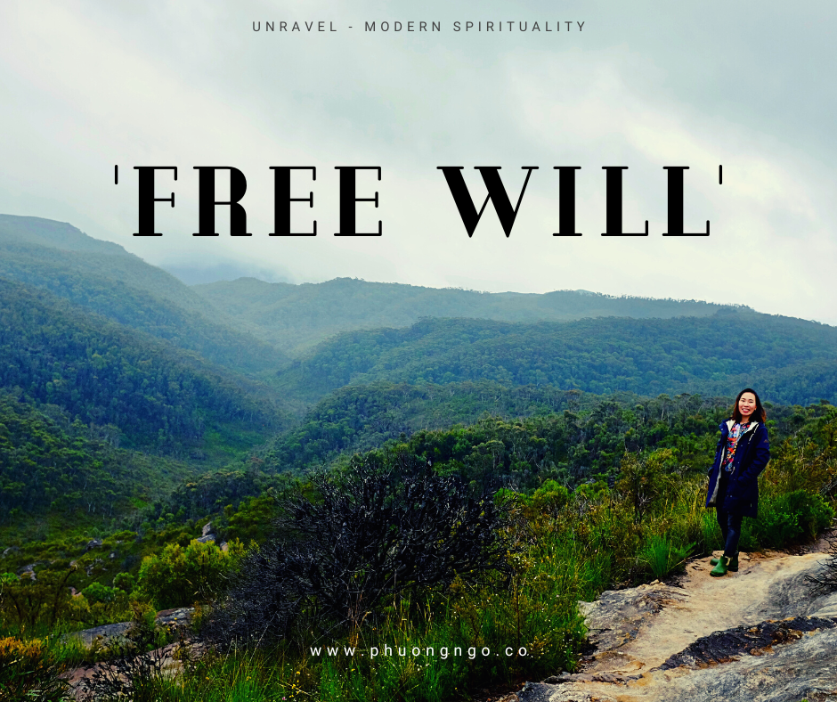 Có thật chúng ta có ‘tự do ý chí' (‘free will') hay không? 'Hợp đồng linh hồn' là gì? Làm việc với phần tối là gì? 