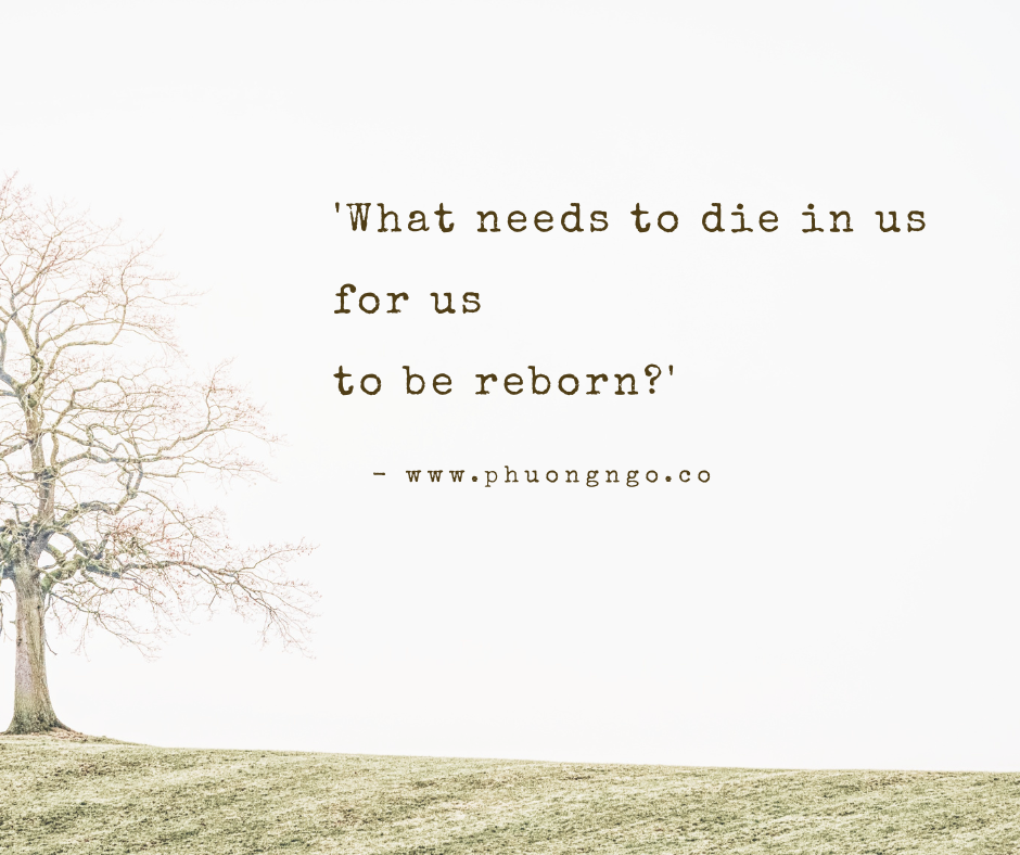 ‘𝗪𝗵𝗮𝘁 𝗻𝗲𝗲𝗱𝘀 𝘁𝗼 𝗱𝗶𝗲 𝗶𝗻 𝘂𝘀 𝗳𝗼𝗿 𝘂𝘀 𝘁𝗼 𝗯𝗲 𝗿𝗲𝗯𝗼𝗿𝗻?'