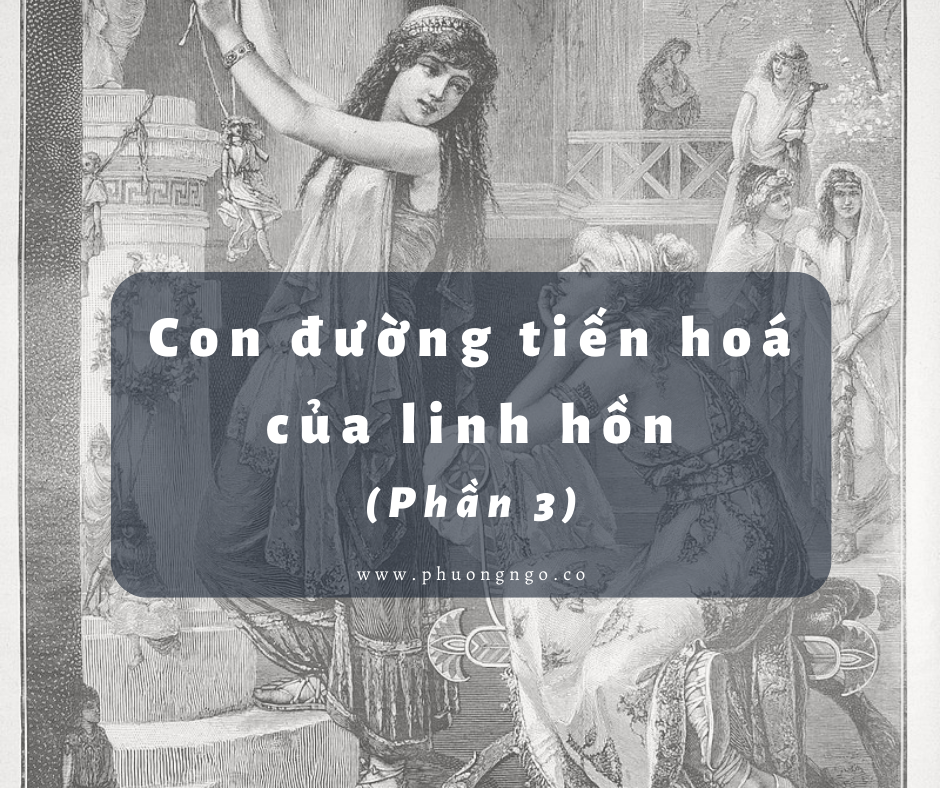 Con đường tiến hoá của linh hồn (phần 3): Ayahuasca, chất thức thần, các phương pháp thực hành tâm linh