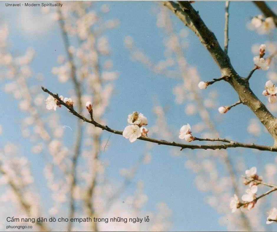 Cẩm nang ‘dặn dò’ cho empath trong những ngày lễ 