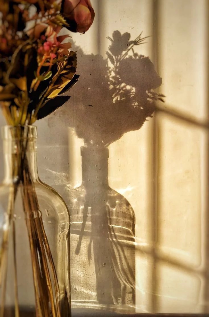 Giới trẻ ‘nghiện chữa lành’