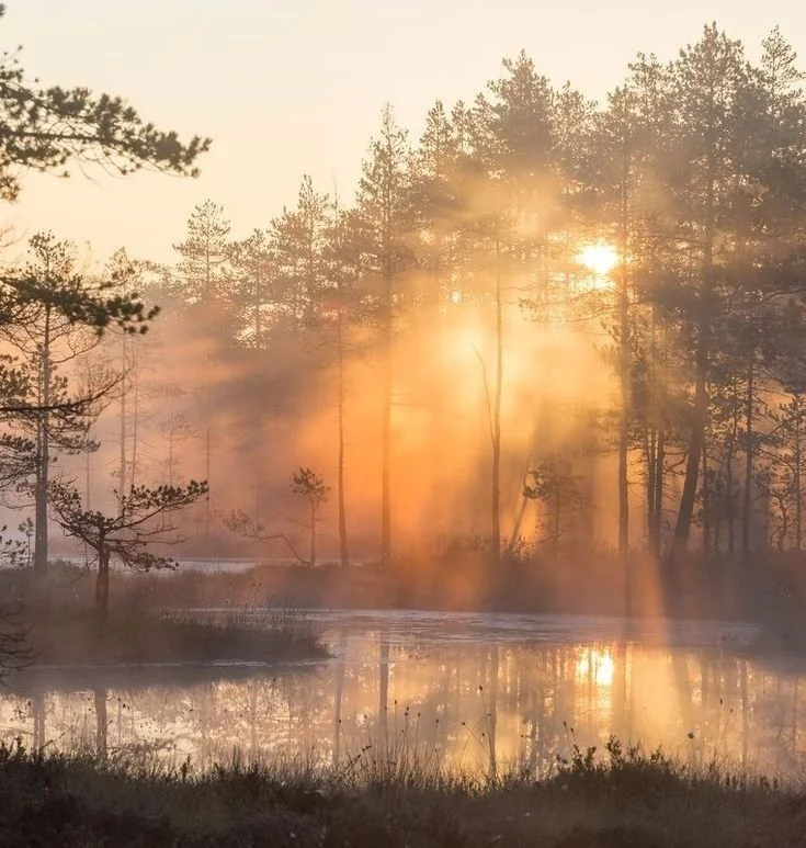 'Nếu cuộc đời này cần phải rực rỡ thì sao?'