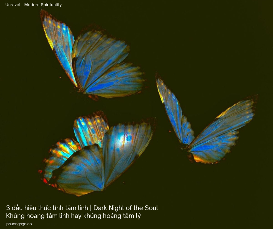 3 dấu hiệu thức tỉnh tâm linh | Dark Night of the Soul | Khủng hoảng tâm linh hay khủng hoảng tâm lý 