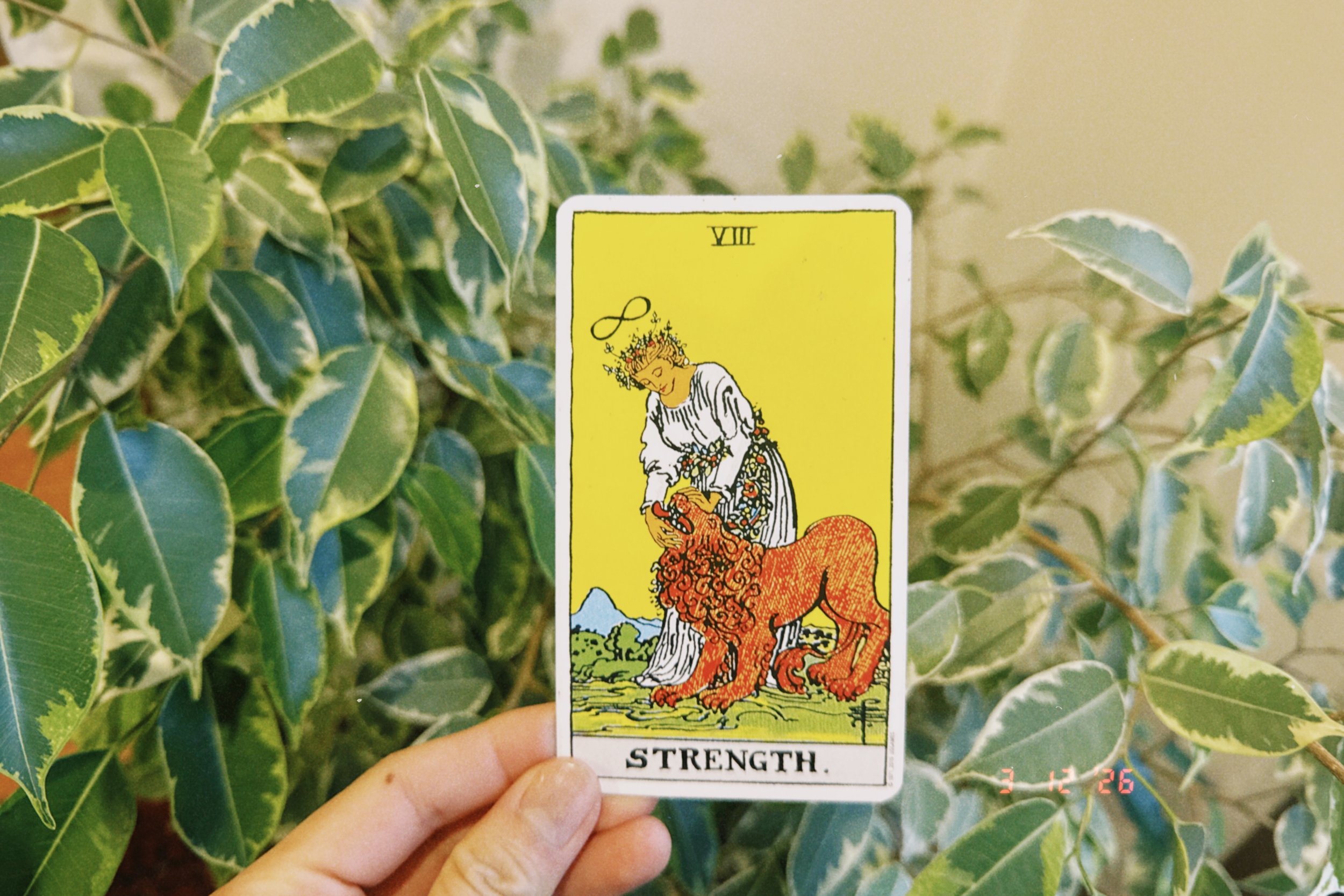 Làm gì khi cạn ý tưởng và mất động lực? | Cách kết nối lại với nguồn sáng tạo bên trong.