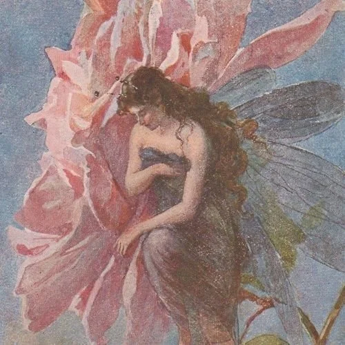 Thức ăn cho linh hồn.