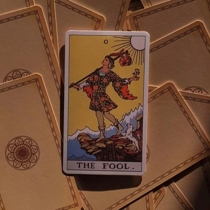 We are THE magician. 