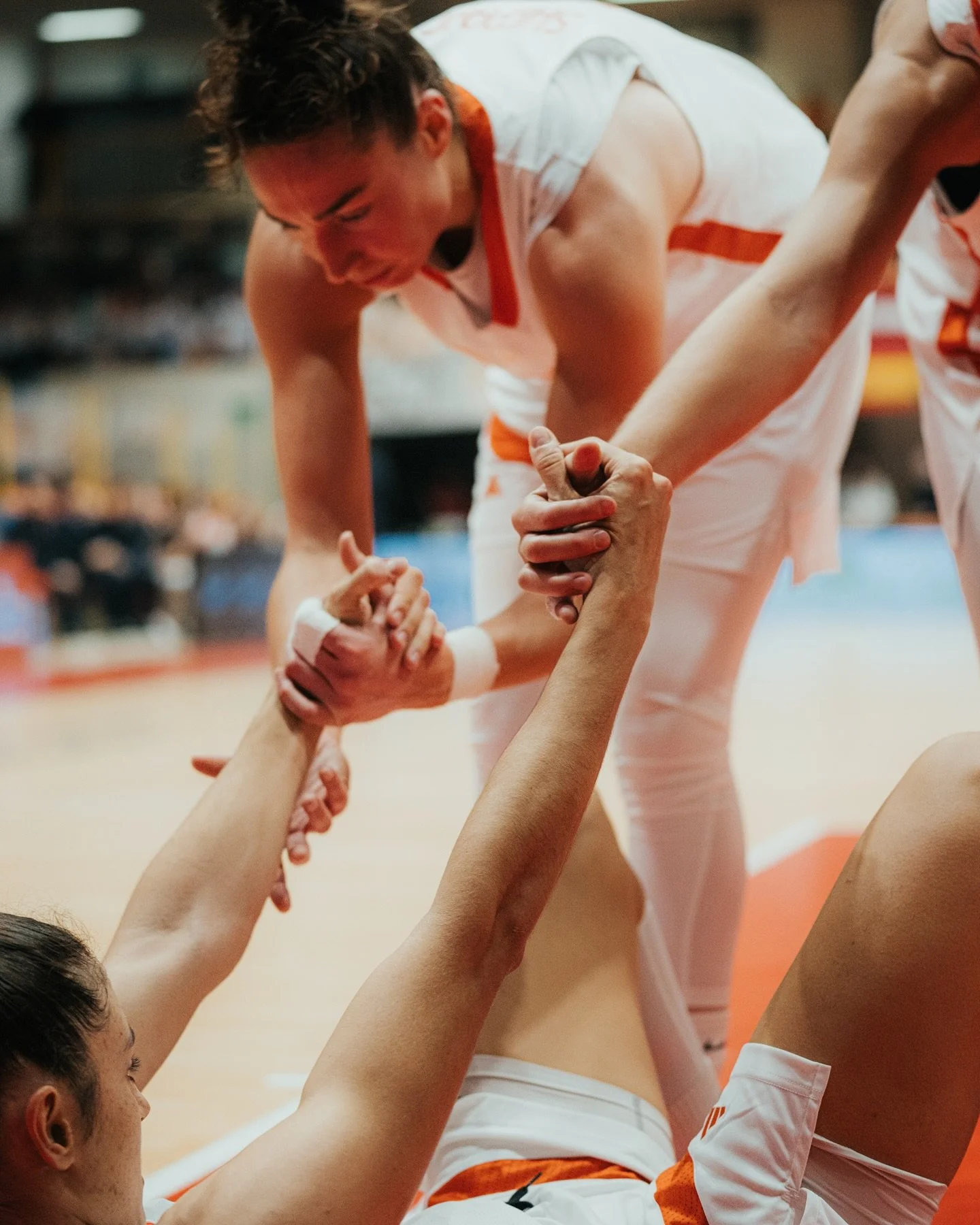 In the quiet heart of the Po Valley, where fields and factories share the horizon, a different kind of tradition has long taken root. Since the 1970s, women&rsquo;s basketball has been woven into the very fabric of the placid Schio. In the shadow of 