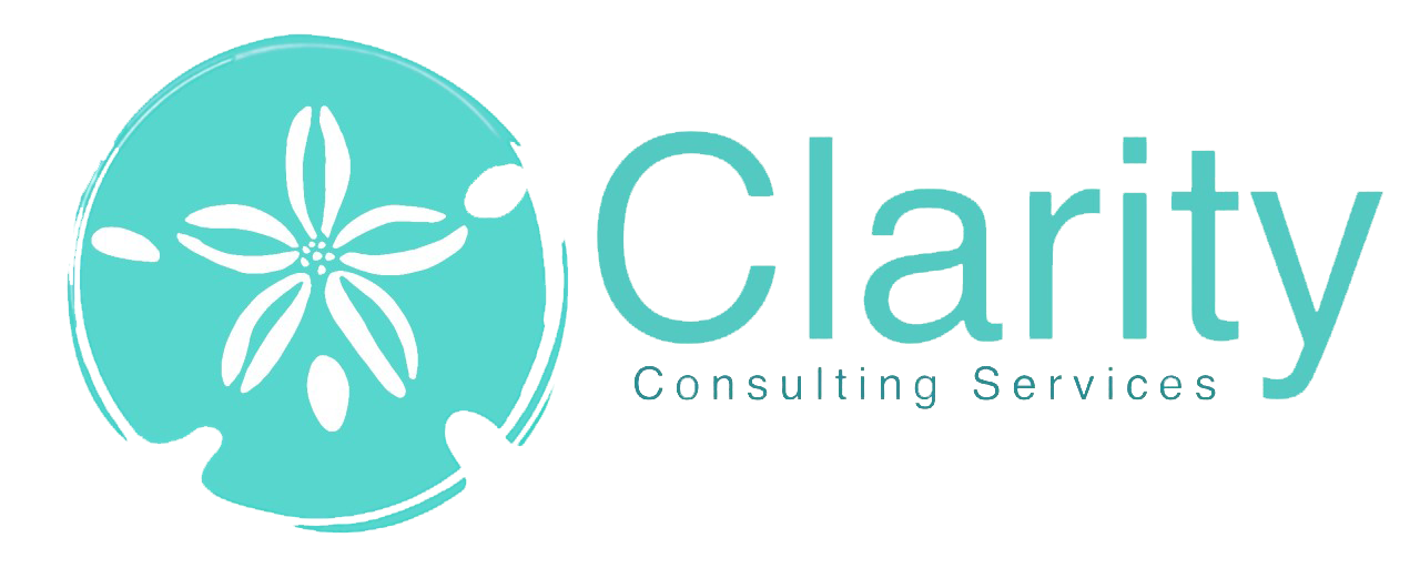 Clarity Consulting Services