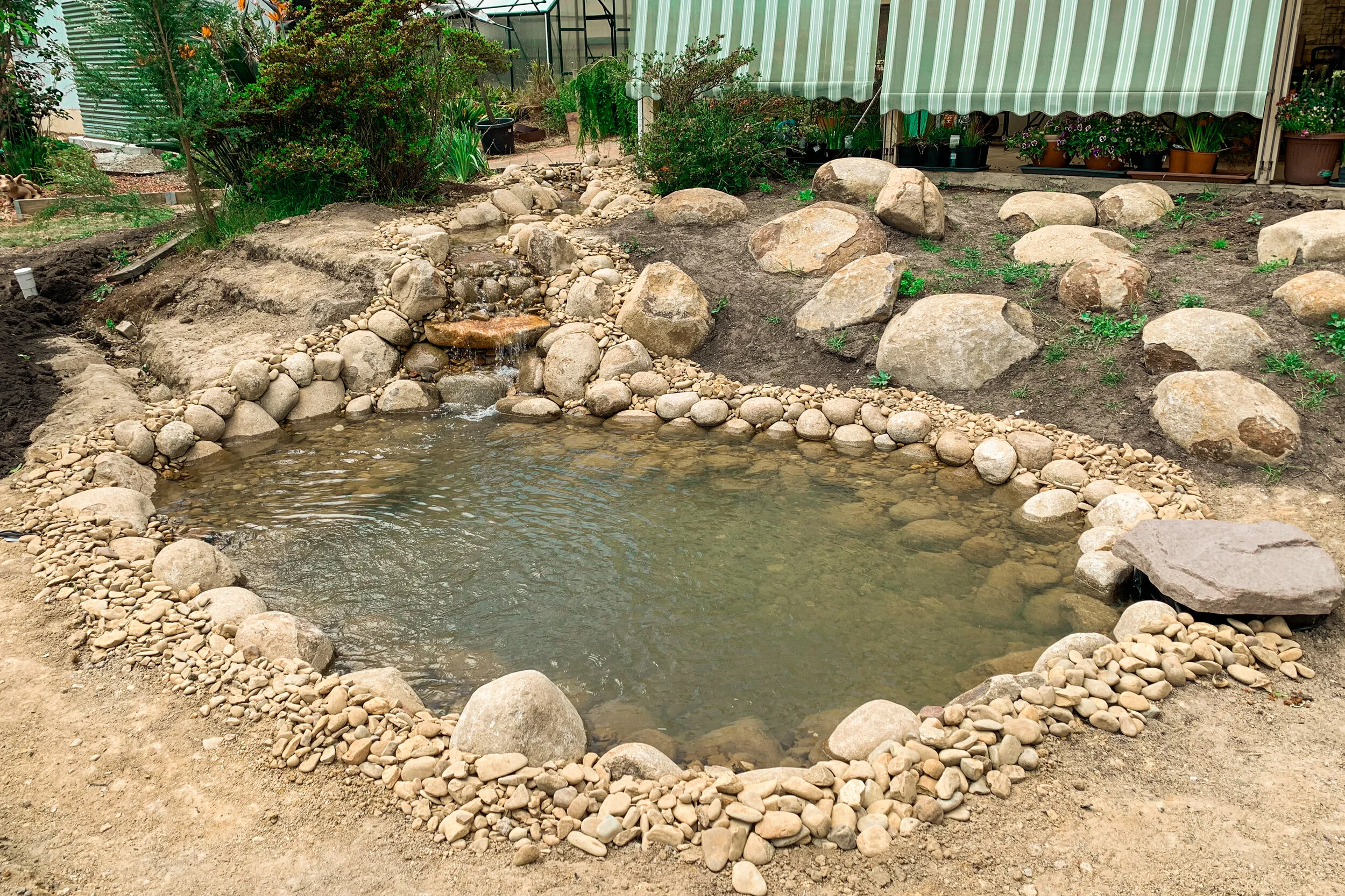 Medium Deluxe Pond