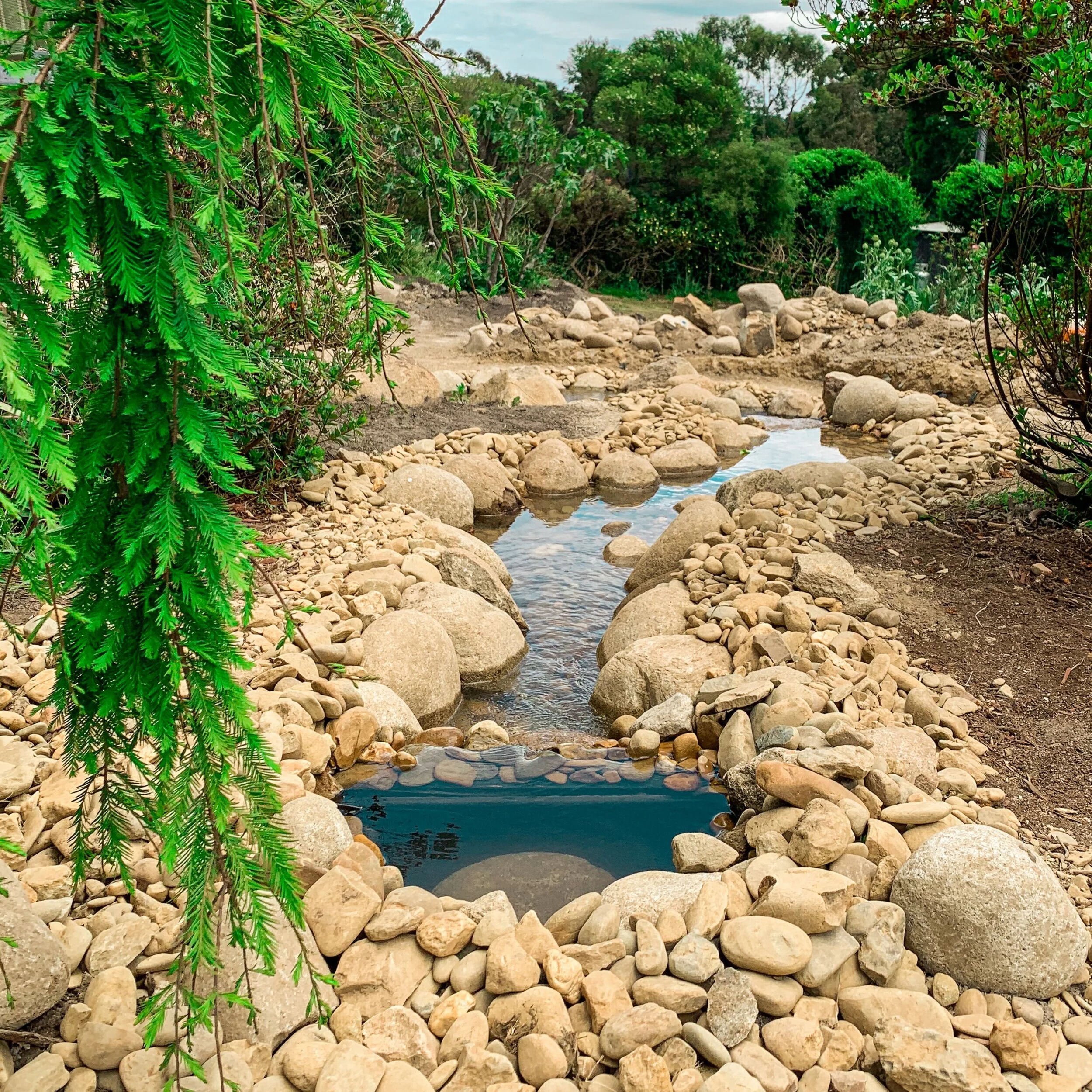 Natural Stream