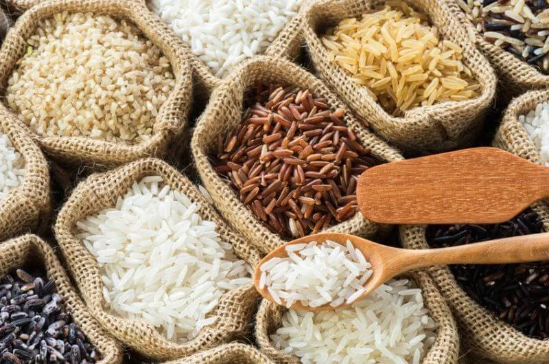 Rice Cooking Experience- Short 