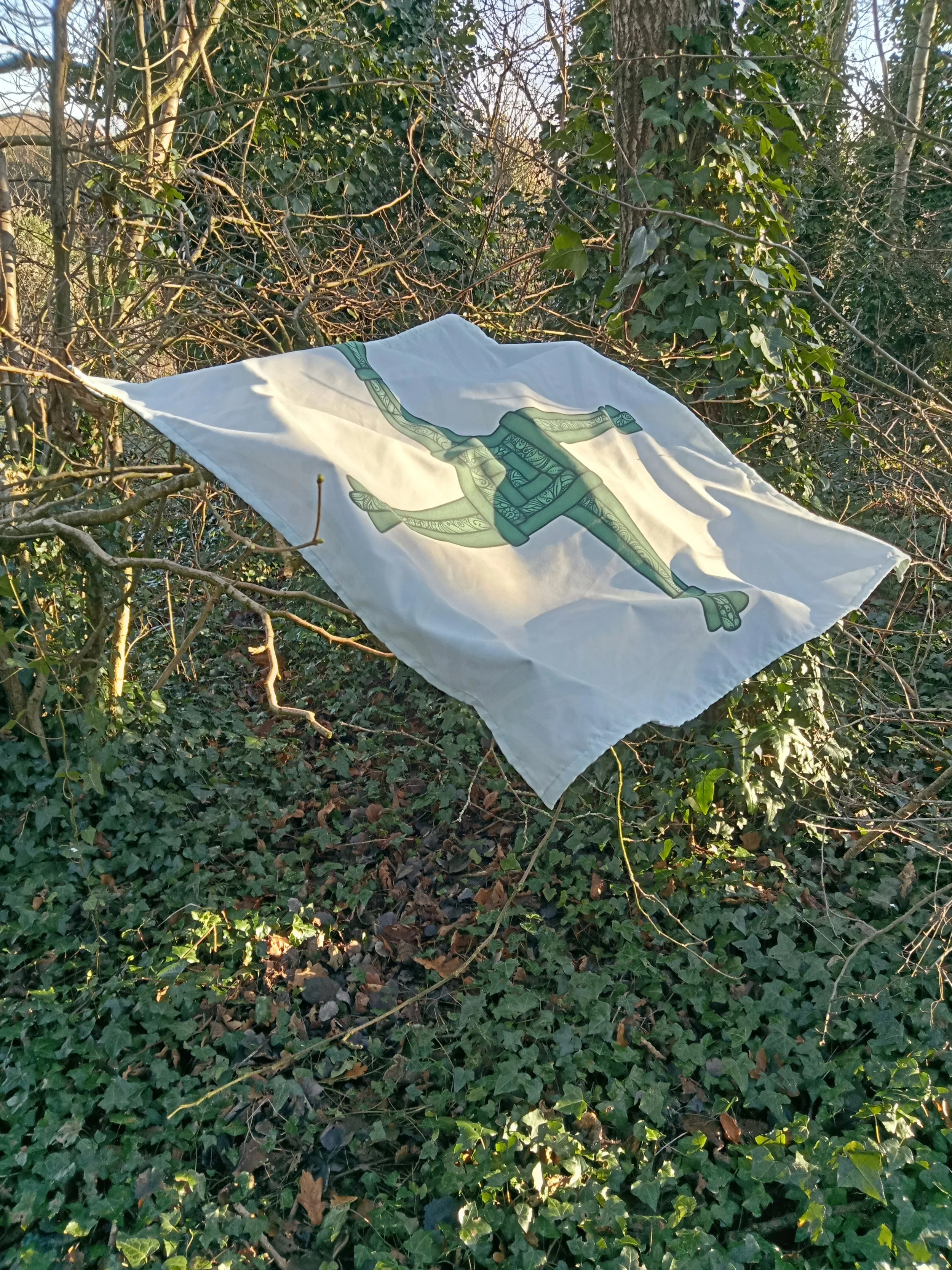 Brat Bhríde cloth hanging between trees in a wooded area, the white fabric moving slightly and showing a green Cros Bríde design.