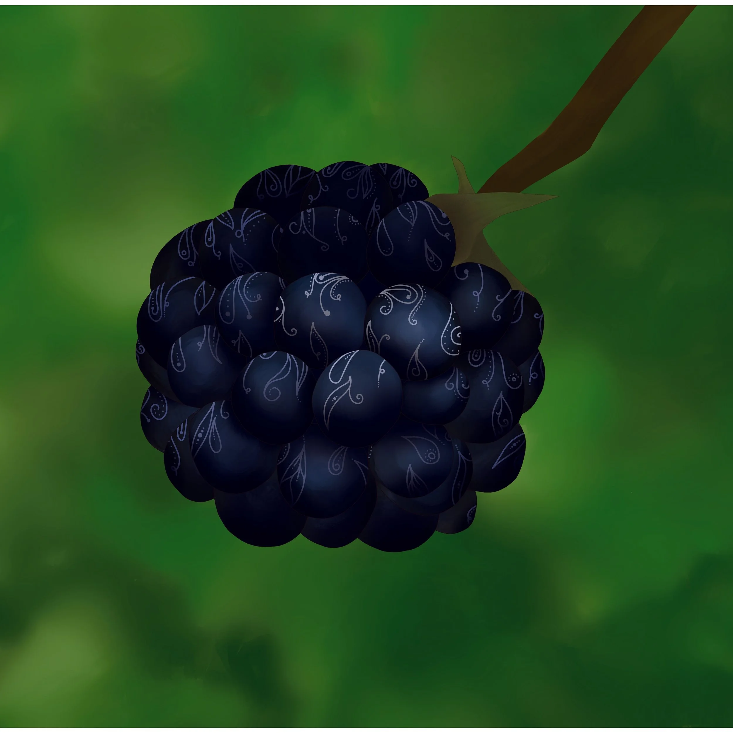 Beware the Púca: Why You Shouldn't Eat Blackberries After Halloween